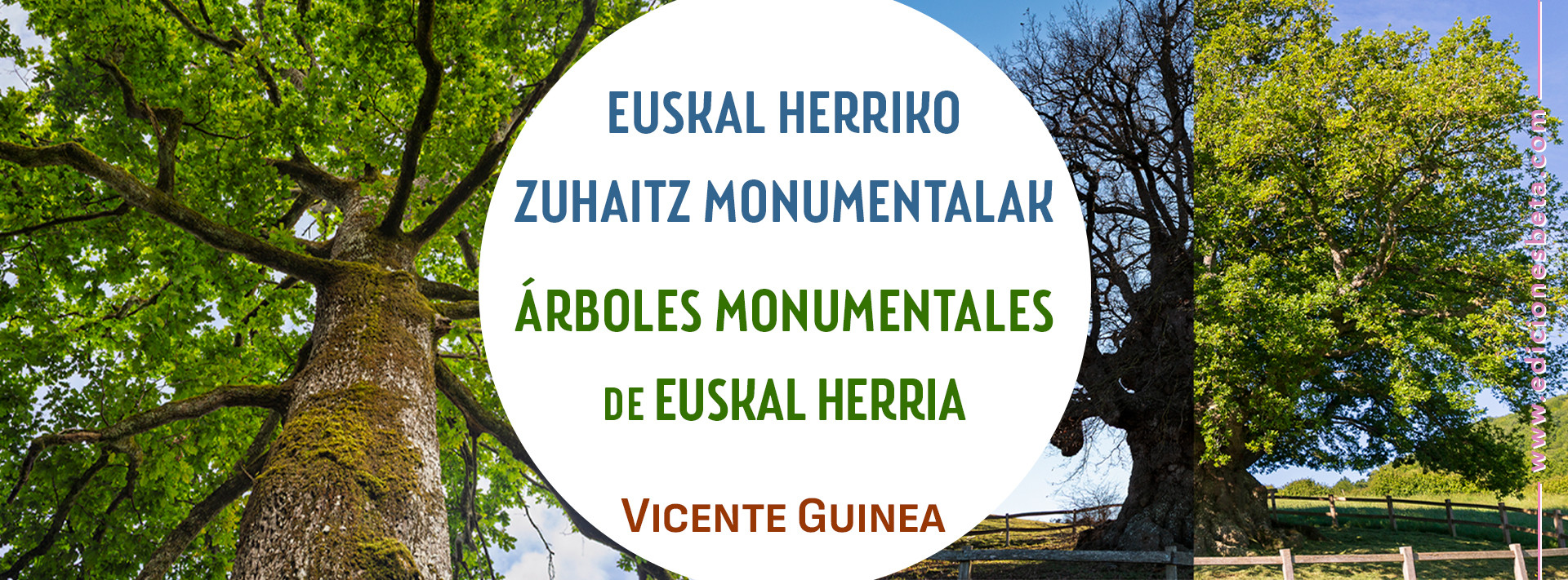 EUSKAL HERRIKO ZUHAITZ MONUMENTALAK / ÁRBOLES MONUMENTALES DE EUSKAL HERRIA de Vicente Guinea González de Artaza